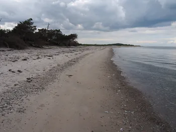 Halshuisene + Enebaerodde Beach (Denemarken)